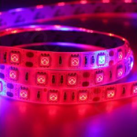 Светодиодная лента FITO 2835 60LED/M 12V IP33