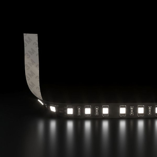 Лента светодиодная 120Led 9,6W IP20 6500K холодный белый (2835 24V 120Led 9,6W IP20 Black) 2835 24V 120Led 9,6W IP20 Black