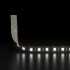 Лента светодиодная 120Led 9,6W IP20 6500K холодный белый (2835 24V 120Led 9,6W IP20 Black) 2835 24V 120Led 9,6W IP20 Black