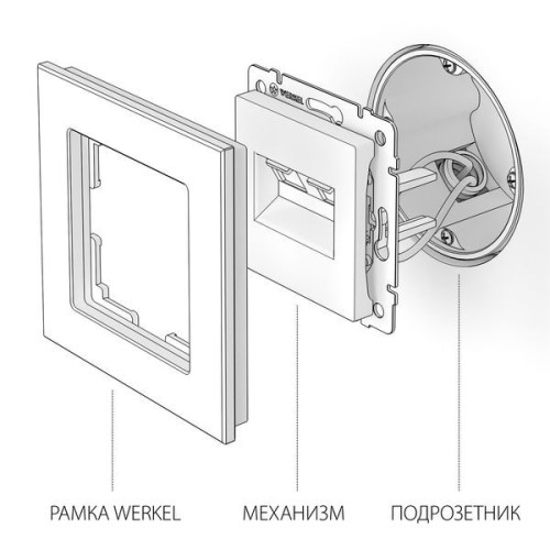 Розетка двойная Ethernet RJ-45 (слоновая кость) W1181103