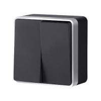 Выключатель двухклавишный Gallant черный с серебром W5020034 W5020034