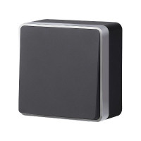 Выключатель одноклавишный Gallant черный с серебром W5010034 W5010034