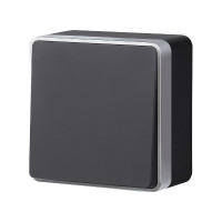 Выключатель одноклавишный проходной Gallant черный с серебром W5012034