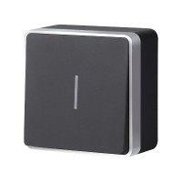 Выключатель одноклавишный с подсветкой Gallant черный с серебром W5010134 W5010134